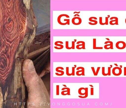 Go Sua Lao VongGoSuaCom