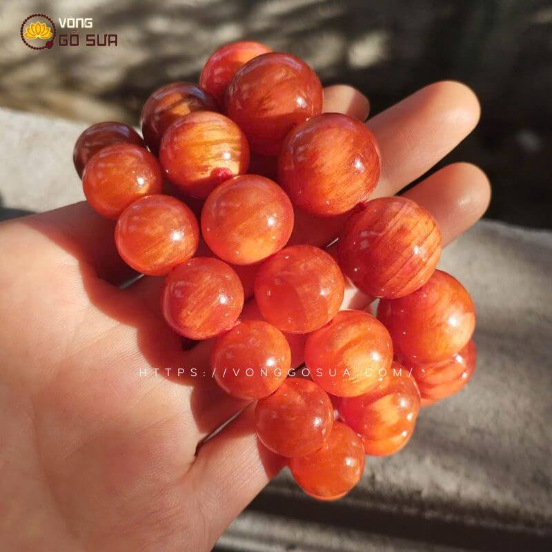 Vòng gỗ huyết long thấu quang 100% Cực VIP 13 Vòng gỗ huyết long thấu quang 100% Cực VIP