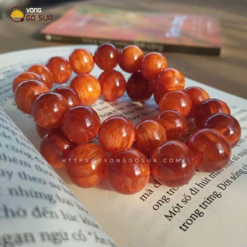 Vòng gỗ huyết long thấu quang 100% Cực VIP 10 Vong go huyet long thau quang sieu VIP 5